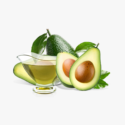 제품 상세이미지2